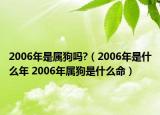 2006年是屬狗嗎?（2006年是什么年 2006年屬狗是什么命）