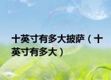 十英寸有多大披薩（十英寸有多大）