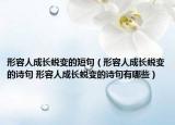 形容人成長(zhǎng)蛻變的短句（形容人成長(zhǎng)蛻變的詩句 形容人成長(zhǎng)蛻變的詩句有哪些）