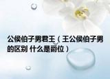 公侯伯子男君王（王公侯伯子男的區(qū)別 什么是爵位）