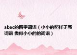 abac的四字詞語（小小的照樣子寫詞語 類似小小的的詞語）