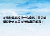 夢見被蝙蝠咬是什么意思（夢見蝙蝠是什么意思 夢見蝙蝠的解釋）