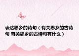 表達(dá)思鄉(xiāng)的詩(shī)句（有關(guān)思鄉(xiāng)的古詩(shī)句 有關(guān)思鄉(xiāng)的古詩(shī)句有什么）