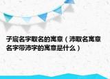 子宸名字取名的寓意（沛取名寓意 名字帶沛字的寓意是什么）