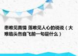患難見真情 落難見人心的說說（大難臨頭各自飛前一句是什么）