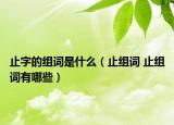 止字的組詞是什么（止組詞 止組詞有哪些）