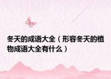 冬天的成語大全（形容冬天的植物成語大全有什么）
