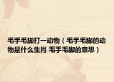 毛手毛腳打一動物（毛手毛腳的動物是什么生肖 毛手毛腳的意思）