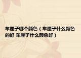 車?yán)遄幽膫€(gè)顏色（車?yán)遄邮裁搭伾暮?車?yán)遄邮裁搭伾茫? /></span></a>
                        <h2><a href=