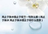 風(fēng)止于秋水我止于你下一句怎么接（風(fēng)止于秋水 風(fēng)止于秋水我止于你什么意思）