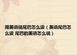 用英語說尾巴怎么讀（英語尾巴怎么讀 尾巴的英語怎么說）