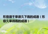 形容很干旱很久下雨的成語（形容久旱得雨的成語）