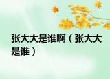張大大是誰啊（張大大是誰）