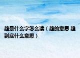 趨是什么字怎么讀（趨的意思 趨到底什么意思）