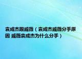 袁成杰跟戚薇（袁成杰戚薇分手原因 戚薇袁成杰為什么分手）