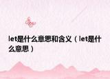 let是什么意思和含義（let是什么意思）