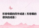 形容母愛的四字成語（形容看的很快的成語）