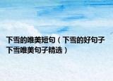 下雪的唯美短句（下雪的好句子 下雪唯美句子精選）