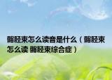 髂脛束怎么讀音是什么（髂脛束怎么讀 髂脛束綜合癥）