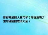 形容喝酒的人生句子（形容酒喝了生命返回的成語大全）