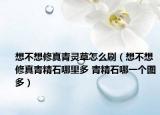 想不想修真青靈草怎么刷（想不想修真青精石哪里多 青精石哪一個圖多）