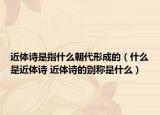 近體詩是指什么朝代形成的（什么是近體詩 近體詩的別稱是什么）