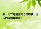獨(dú)一無二是成語嗎（形容獨(dú)一無二的成語有哪些）