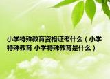 小學(xué)特殊教育資格證考什么（小學(xué)特殊教育 小學(xué)特殊教育是什么）