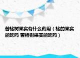 苦楮樹果實(shí)有什么藥用（楮的果實(shí)能吃嗎 苦楮樹果實(shí)能吃嗎）