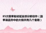 85太極拳趙幼斌全部分解動(dòng)作（跆拳道品勢中的太極共有幾個(gè)套路）