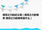 微薄之力的近義詞（微薄之力的意思 微薄之力的意思是什么）