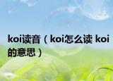 koi讀音（koi怎么讀 koi的意思）