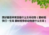美好春景舉家游是什么生肖動物（鷸蚌相爭打一生肖 鷸蚌相爭的動物是什么生肖）