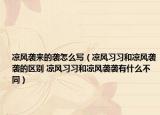 涼風(fēng)襲來的襲怎么寫（涼風(fēng)習(xí)習(xí)和涼風(fēng)襲襲的區(qū)別 涼風(fēng)習(xí)習(xí)和涼風(fēng)襲襲有什么不同）
