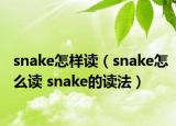 snake怎樣讀（snake怎么讀 snake的讀法）