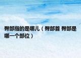 臀部指的是哪兒（臀部首 臀部是哪一個部位）