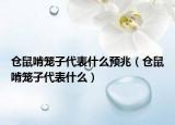 倉(cāng)鼠啃籠子代表什么預(yù)兆（倉(cāng)鼠啃籠子代表什么）