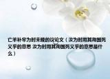 亡羊補(bǔ)牢為時(shí)未晚的議論文（汝為時(shí)用其徇國(guó)死義乎的意思 汝為時(shí)用其徇國(guó)死義乎的意思是什么）