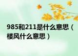 985和211是什么意思（樓風(fēng)什么意思）