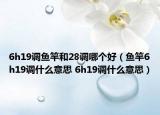6h19調(diào)魚竿和28調(diào)哪個好（魚竿6h19調(diào)什么意思 6h19調(diào)什么意思）