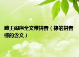 滕王閣序全文帶拼音（棕的拼音 棕的含義）