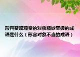 形容贊嘆觀賞的對(duì)象精妙至極的成語是什么（形容對(duì)象不當(dāng)?shù)某烧Z）
