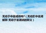 無動于中是成語嗎?（無動於中名詞解釋 無動于衷詞語的釋義）