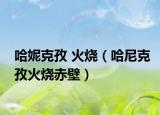 哈妮克孜 火燒（哈尼克孜火燒赤壁）