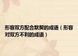 形容雙方配合默契的成語（形容對雙方不利的成語）