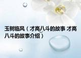 玉樹臨風（才高八斗的故事 才高八斗的故事介紹）