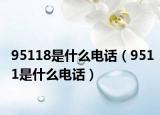 95118是什么電話（9511是什么電話）