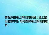 魯智深被逼上梁山的原因（逼上梁山的意思是 如何理解逼上梁山的意思）