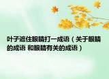 葉子遮住眼睛打一成語(yǔ)（關(guān)于眼睛的成語(yǔ) 和眼睛有關(guān)的成語(yǔ)）