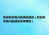 形容非常高興的詞語(yǔ)成語(yǔ)（形容非常高興的成語(yǔ)還有哪些）